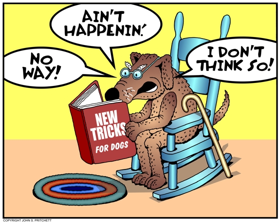 New dog deals old tricks