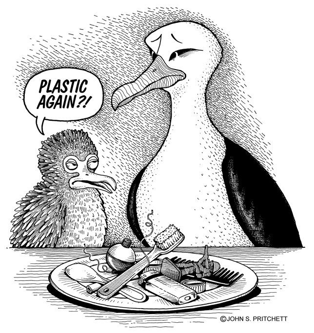 Environment cartoon, environmental cartoons, plastic debris, ocean pollution,  albatross, illustration for Environment Hawaii by John S. Pritchett