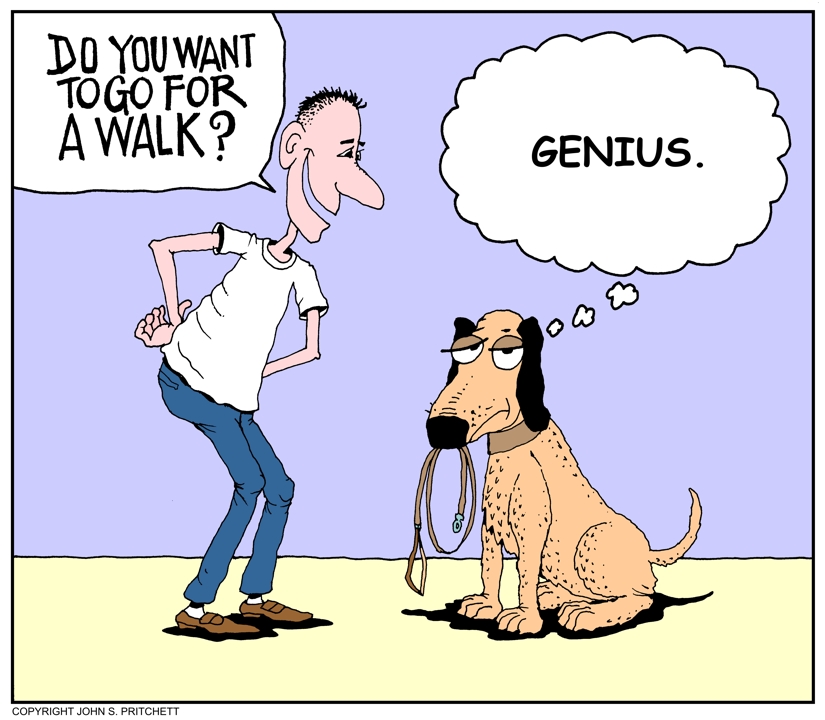 Dog cartoon, walk the dog cartoon, dog image, rocket scientist dog
